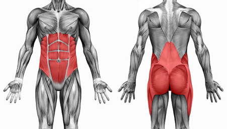 Why are core muscles important for back pain?